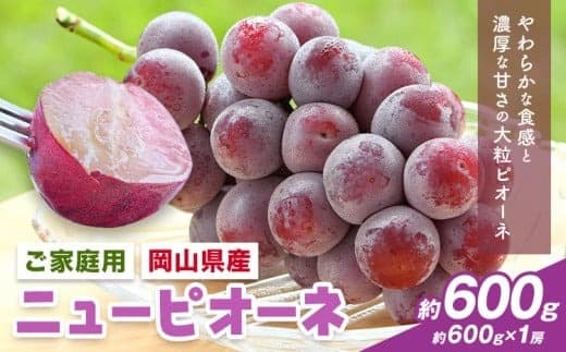 【2026年先行予約】岡山県産 ご家庭用 ニューピオーネ詰合せ 計600g 株式会社はちや《8月下旬-9月下旬頃出荷》岡山県 浅口市 ぶどう 葡萄 フルーツ ギフト 果物 デザート 国産 送料無料【配送不可地域あり】
