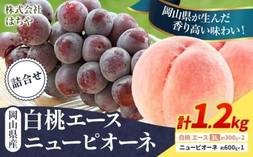 【2026年先行予約】岡山県産 岡山白桃 エース ニューピオーネ 計 1.2kg 詰合せ 株式会社 はちや《2026年7月上旬‐8月下旬頃出荷》もも 岡山 国産 フルーツ 果物 岡山県 浅口市 フルーツ モモ 果物【配送不可地域あり】