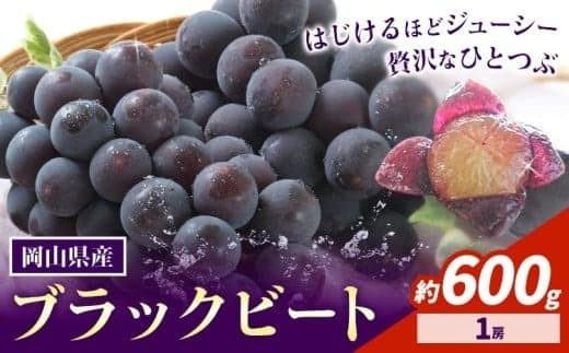【2026年先行予約】岡山県産 ぶどう ブラックビート 600g 1房 株式会社 はちや《8月上旬-9月上旬頃出荷》岡山 国産 葡萄 フルーツ 果物 岡山県 浅口市 フルーツ 果物【配送不可地域あり】