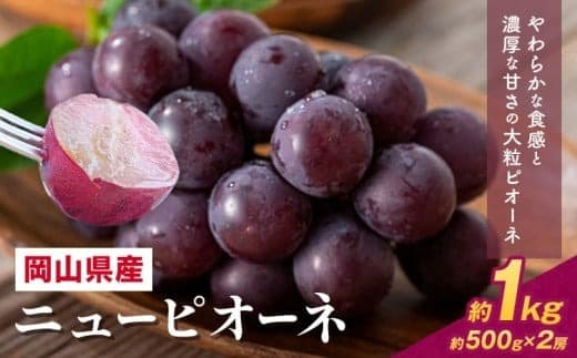 【2026年先行予約】 岡山県産 ニューピオーネ詰合せ 選べる 計 1kg 株式会社はちや《6月下旬‐7月下旬頃出荷》岡山県 浅口市 ぶどう 葡萄 フルーツ ギフト 果物 デザート 国産 送料無料【配送不可地域あり】