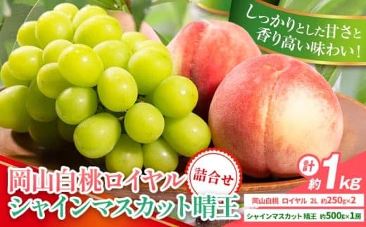 【2026年先行予約】岡山県産 岡山白桃 ロイヤル L~ 3Lサイズ シャインマスカット 計 1kg 詰合せ 株式会社 はちや《7月上旬‐8月下旬頃出荷》もも 岡山 国産 フルーツ 果物 岡山県 浅口市 フルーツ モモ 果物【配送不可地域あり】