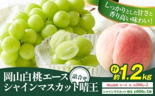 【2026年先行予約】岡山県産 岡山白桃 エース L~ 3Lサイズ シャインマスカット 計 1.2kg 詰合せ 株式会社 はちや《7月上旬-8月下旬頃出荷》もも 岡山 国産 フルーツ 果物 岡山県 浅口市 フルーツ モモ 果物【配送不可地域あり】
