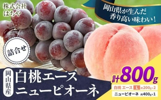 【2026年先行予約】岡山県産 岡山白桃 エース ニューピオーネ 計 800g 詰合せ 株式会社 はちや《7月上旬‐8月下旬頃出荷》もも 岡山 国産 フルーツ 果物 岡山県 浅口市 フルーツ モモ 果物【配送不可地域あり】