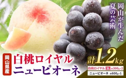 【2026年先行予約】岡山県産 白桃ロイヤル ニューピオーネ 詰合せ 選べる 計1.2kg 株式会社はちや《2026年7月上旬‐8月下旬頃出荷》岡山県 浅口市 白桃 桃 ぶどう 葡萄 フルーツ ギフト 果物 デザート 国産【配送不可地域あり】