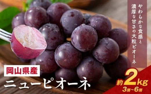 【2026年先行予約】 岡山県産 ニューピオーネ詰合せ 選べる 計 2kg 株式会社はちや《6月下旬‐7月下旬頃出荷》岡山県 浅口市 ぶどう 葡萄 フルーツ ギフト 果物 デザート 国産 送料無料【配送不可地域あり】