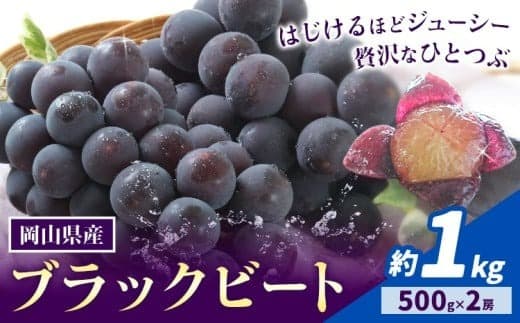 【2026年先行予約】岡山県産 ぶどう ブラックビート 計 1kg 2房 株式会社 はちや《8月上旬-9月上旬頃出荷》岡山 国産 葡萄 フルーツ 果物 岡山県 浅口市 フルーツ 果物【配送不可地域あり】