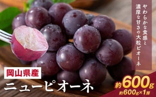 【2026年先行予約】 岡山県産 ニューピオーネ詰合せ 選べる 計 600g 株式会社はちや《6月下旬‐7月下旬頃出荷》岡山県 浅口市 ぶどう 葡萄 フルーツ ギフト 果物 デザート 国産 送料無料【配送不可地域あり】
