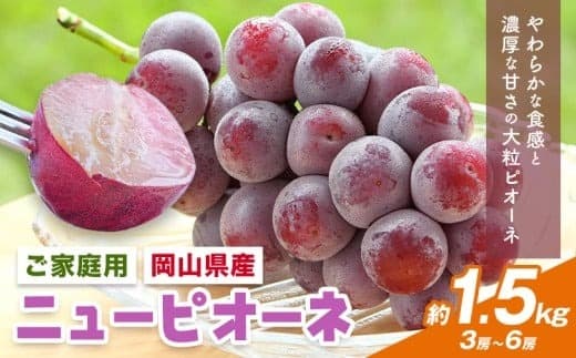 【2026年先行予約】岡山県産 ご家庭用 ニューピオーネ詰合せ 計1.5kg 株式会社はちや《8月下旬-9月下旬頃出荷》岡山県 浅口市 ぶどう 葡萄 フルーツ ギフト 果物 デザート 国産 送料無料【配送不可地域あり】