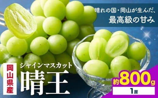【2026年先行予約】 岡山県産 シャインマスカット 晴王 800g 1房 株式会社はちや《7月上旬‐8月下旬頃出荷》岡山県 浅口市 ぶどう 葡萄 フルーツ ギフト 果物 デザート 国産【配送不可地域あり】
