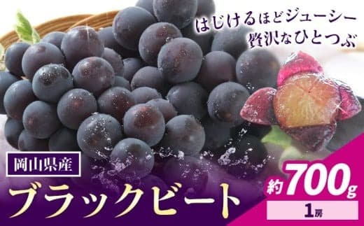 【2026年先行予約】岡山県産 ぶどう ブラックビート 700g 1房 株式会社 はちや《8月上旬-9月上旬頃出荷》岡山 国産 葡萄 フルーツ 果物 岡山県 浅口市 フルーツ 果物【配送不可地域あり】