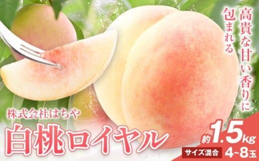 【2026年先行予約】岡山白桃 等級 ロイヤル 約1.5kg《7月上旬‐8月下旬頃出荷》もも モモ 岡山 国産 フルーツ 果物 岡山県 浅口市 株式会社 はちや フルーツ モモ 果物 青果 旬 白桃 国産 岡山県産【配送不可地あり】