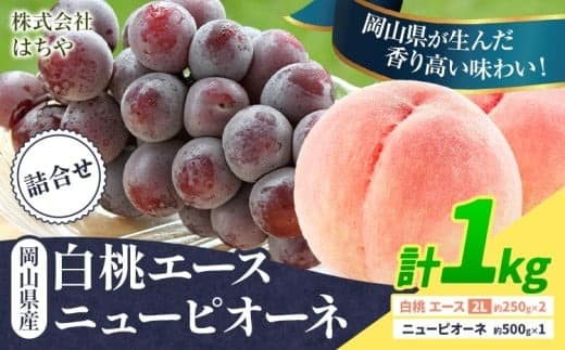 【2026年先行予約】岡山県産 岡山白桃 エース ニューピオーネ 計 1kg 詰合せ 株式会社 はちや《7月上旬‐8月下旬頃出荷》もも 岡山 国産 フルーツ 果物 岡山県 浅口市 フルーツ モモ 果物【配送不可地域あり】