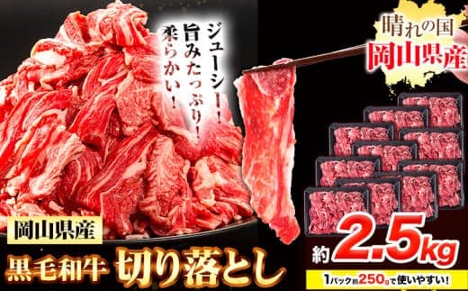 牛肉 黒毛和牛 切り落とし 2.5kg《30日以内に出荷予定(土日祝除く)》 岡山県 浅口市 牛 牛肉 和牛 牛丼 カレー 小分け 小分けパック 250g 送料無料---124_f658_30d_24_25000_25--- (管理コード:124_f658_30d_24_25000_25)