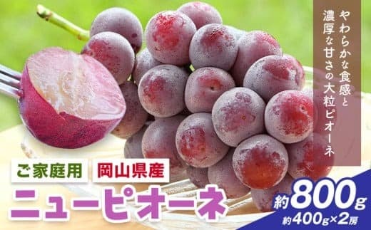 【2026年先行予約】岡山県産 ご家庭用 ニューピオーネ詰合せ 計800g 株式会社はちや《8月下旬-9月下旬頃出荷》岡山県 浅口市 ぶどう 葡萄 フルーツ ギフト 果物 デザート 国産 送料無料【配送不可地域あり】