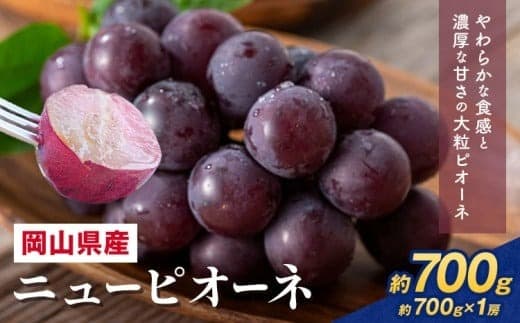 【2026年先行予約】 岡山県産 ニューピオーネ詰合せ 選べる 計 700g 株式会社はちや《6月下旬‐7月下旬頃出荷》岡山県 浅口市 ぶどう 葡萄 フルーツ ギフト 果物 デザート 国産 送料無料【配送不可地域あり】
