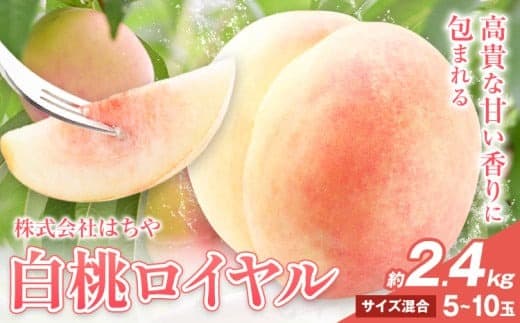 【2026年先行予約】岡山白桃 等級 ロイヤル 約2.4kg《7月上旬‐8月下旬頃出荷》もも モモ 岡山 国産 フルーツ 果物 岡山県 浅口市 株式会社 はちや フルーツ モモ 果物 青果 旬 白桃 国産 岡山県産【配送不可地あり】