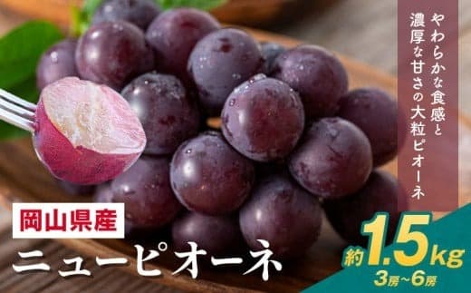 【2026年先行予約】 岡山県産 ニューピオーネ詰合せ 選べる 計 1.5kg 株式会社はちや《8月下旬‐9月下旬頃出荷》岡山県 浅口市 ぶどう 葡萄 フルーツ ギフト 果物 デザート 国産 送料無料【配送不可地域あり】