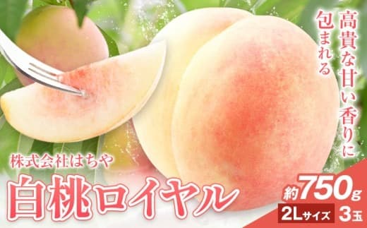 【2026年先行予約】岡山白桃 等級 ロイヤル 約750g《7月上旬‐8月下旬頃出荷》もも モモ 岡山 国産 フルーツ 果物 岡山県 浅口市 株式会社 はちや フルーツ モモ 果物 青果 旬 白桃 国産 岡山県産【配送不可地あり】