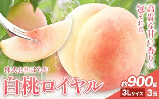 【2026年先行予約】岡山白桃 等級 ロイヤル 約900g《2026年7月上旬‐8月下旬頃出荷》もも モモ 岡山 国産 フルーツ 果物 岡山県 浅口市 株式会社 はちや フルーツ モモ 果物 青果 旬 白桃 国産 岡山県産【配送不可地あり】