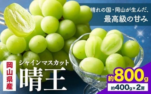 【2026年先行予約】 岡山県産 シャインマスカット 晴王 計 800g 2房 株式会社はちや《7月上旬‐8月下旬頃出荷》岡山県 浅口市 ぶどう 葡萄 フルーツ ギフト 果物 デザート 国産【配送不可地域あり】