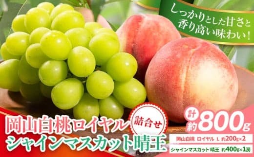 【2026年先行予約】岡山県産 岡山白桃 ロイヤル L~ 3Lサイズ シャインマスカット 計 800g 詰合せ 株式会社 はちや《7月上旬‐8月下旬頃出荷》もも 岡山 国産 フルーツ 果物 岡山県 浅口市 フルーツ モモ 果物【配送不可地域あり】