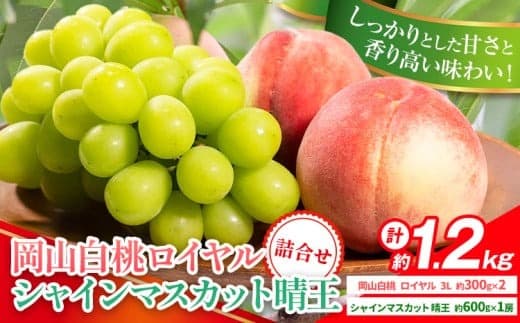 【2026年先行予約】岡山県産 岡山白桃 ロイヤル L~ 3Lサイズ シャインマスカット 計 1.2kg 詰合せ 株式会社 はちや《7月上旬‐8月下旬頃出荷》もも 岡山 国産 フルーツ 果物 岡山県 浅口市 フルーツ モモ 果物【配送不可地域あり】