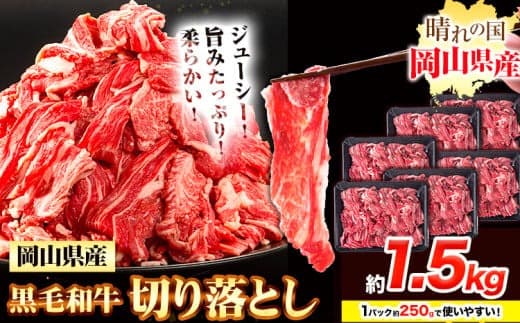 牛肉 黒毛和牛 切り落とし 1.5kg《30日以内に出荷予定(土日祝除く)》 岡山県 浅口市 牛 牛肉 和牛 牛丼 カレー 小分け 小分けパック 250g 送料無料---124_f656_30d_24_17000_15--- (管理コード:124_f656_30d_24_17000_15)