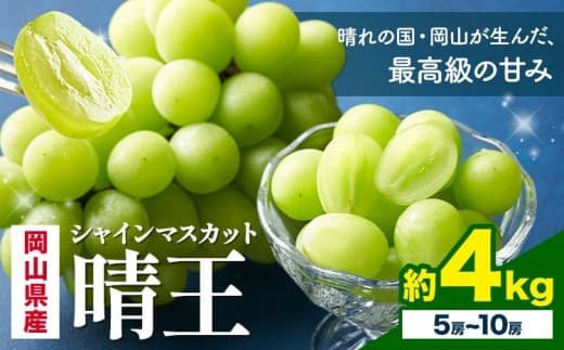 【2026年先行予約】 岡山県産 シャインマスカット 晴王 計 4kg 5房 ~ 10房 株式会社はちや《7月上旬‐8月下旬頃出荷》岡山県 浅口市 ぶどう 葡萄 フルーツ ギフト 果物 デザート 国産【配送不可地域あり】