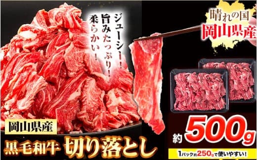 牛肉 黒毛和牛 切り落とし 500g《30日以内に出荷予定(土日祝除く)》 岡山県 浅口市 牛 牛肉 和牛 牛丼 カレー 小分け 小分けパック 250g 送料無料---124_f654_30d_24_9000_5--- (管理コード:124_f654_30d_24_9000_5)