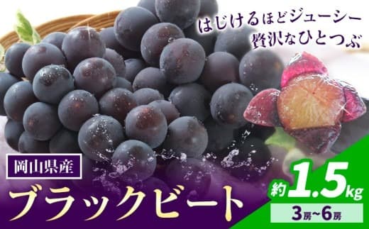 【2026年先行予約】岡山県産 ぶどう ブラックビート 計 1.5kg 3房 ~ 6房 株式会社 はちや《8月上旬-9月上旬頃出荷》岡山 国産 葡萄 フルーツ 果物 岡山県 浅口市 フルーツ 果物【配送不可地域あり】