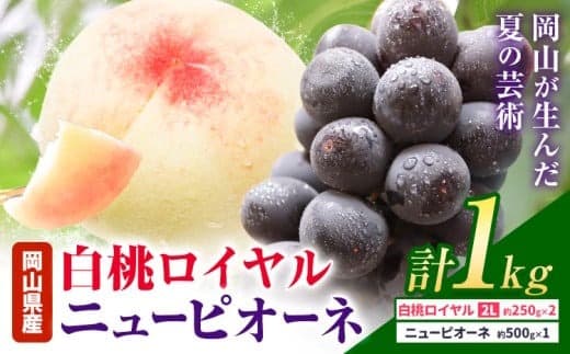 【2026年先行予約】岡山県産 白桃ロイヤル ニューピオーネ 詰合せ 選べる 計1kg 株式会社はちや《7月上旬‐8月下旬頃出荷》岡山県 浅口市 白桃 桃 ぶどう 葡萄 フルーツ ギフト 果物 デザート 国産【配送不可地域あり】