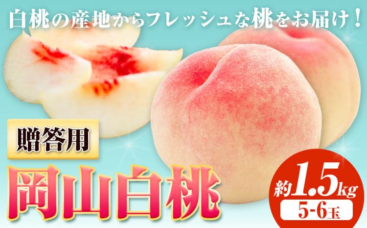 桃 岡山の桃【2026年先行予約】贈答用 桃 内容量 1.5kg ハレノフルーツ (犬塚農園) 《2026年6月末-8月中旬頃出荷》岡山県 浅口市 フルーツ モモ 果物 青果 旬 おかやま夢白桃 白麗 白鳳 清水白桃 なつごころ 加納岩白桃【配送不可地域あり】---124_c1795_6m8b_26_27500_1500g---