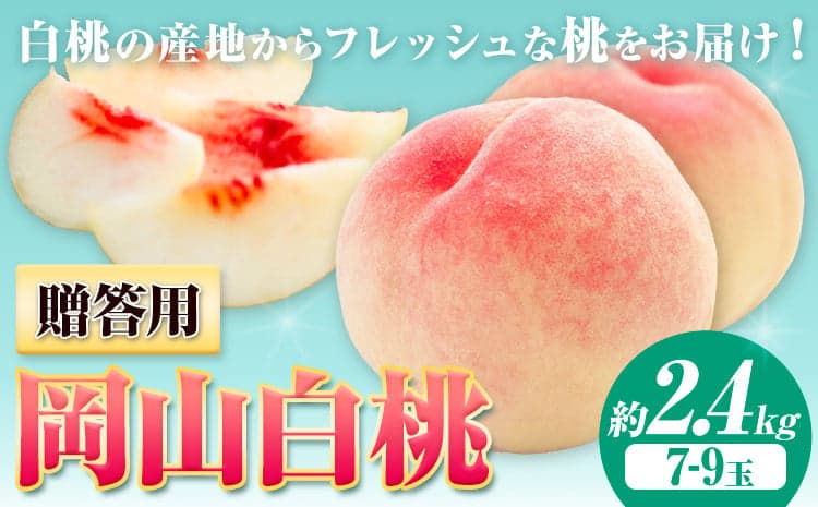 桃 岡山の桃【2026年先行予約】贈答用 桃 内容量 2.4kg ハレノフルーツ (犬塚農園) 《2026年6月末-8月中旬頃出荷》岡山県 浅口市 フルーツ モモ 果物 青果 旬 おかやま夢白桃 白麗 白鳳 清水白桃 なつごころ 加納岩白桃【配送不可地域あり】---124_c1796_6m8b_26_39000_2400g---