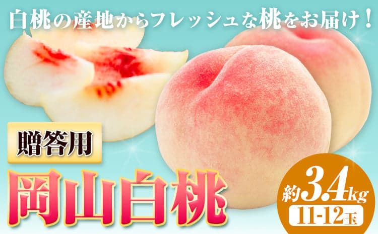 桃 岡山の桃【2026年先行予約】贈答用 桃 内容量 約3.4kg ハレノフルーツ (犬塚農園) 《2026年6月末-8月中旬頃出荷》岡山県 浅口市 フルーツ モモ 果物 青果 旬 おかやま夢白桃 白麗 白鳳 清水白桃 なつごころ 加納岩白桃【配送不可地域あり】---124_c1797_6m8b_26_47000_3400g---