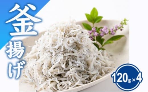 湘南しらす 計480g ( 120g × 4パック ) 釜揚げしらす 釜揚げ しらす シラス sirasu じゃこ ちりめん しらす干し 江の島しらす イワシ 小分け 手軽 海鮮 魚 魚介 魚貝 小魚 ごはん 海鮮丼 丼 米 冷凍 江の島 江ノ島 とびっちょ 国産 神奈川 湘南 藤沢