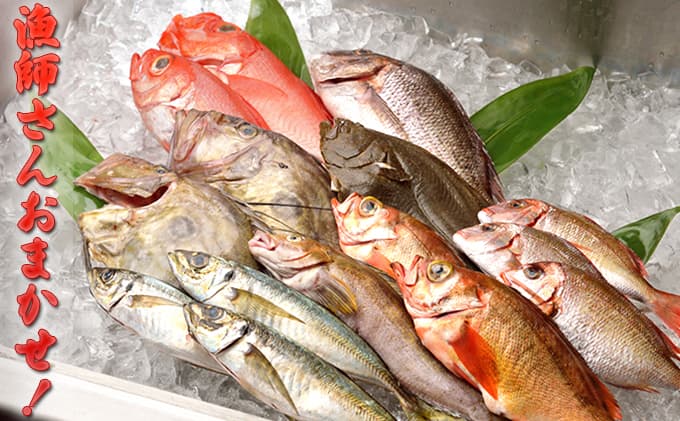 【光勝丸】漁師さんのおまかせ鮮魚セット 魚介類