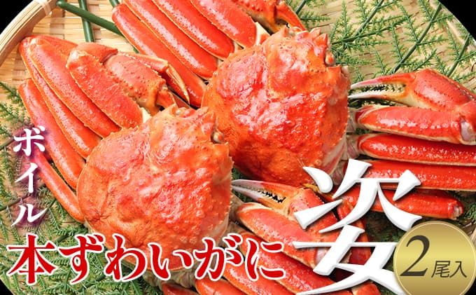 【 カニ 】ボイル 本ずわいがに 姿 2尾入