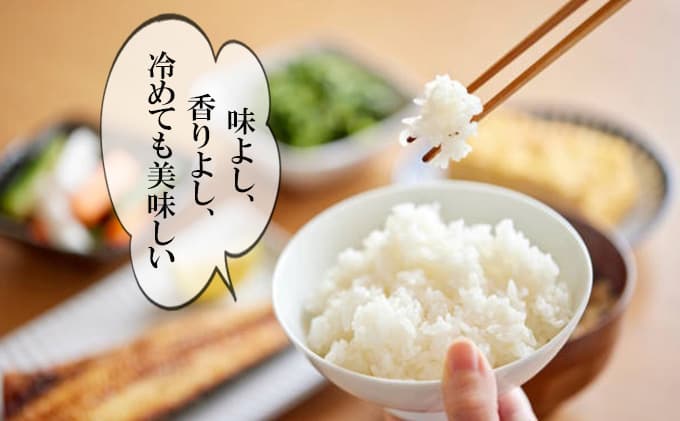 【6ヶ月連続定期便】農家直送!精米 令和7年度産 宮城県亘理町産 ひとめぼれ 10kg(計60kg)