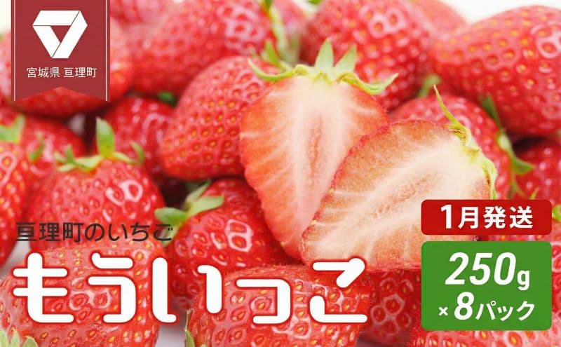 【1月配送】いちご 亘理町のいちご もういっこ 250g × 8パック オンライン決済限定 仙台いちご