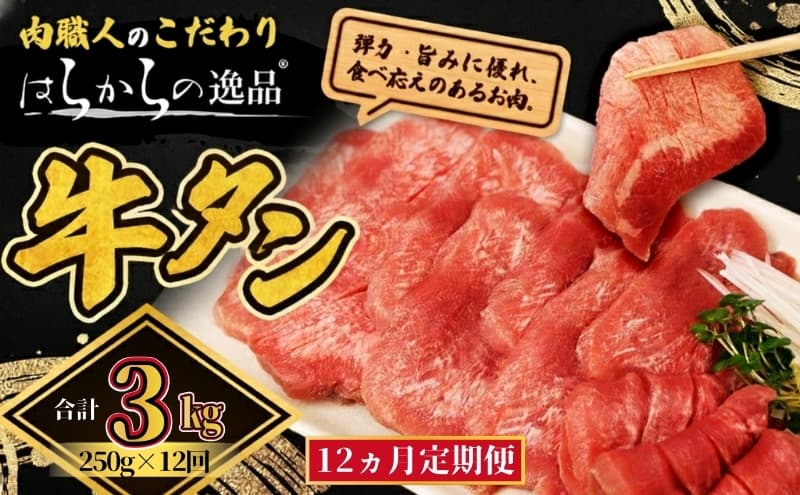 【12ヵ月連続定期便】大人気 牛タン 厳選成牛たん 3kg 250g×12回 仙台牛タン