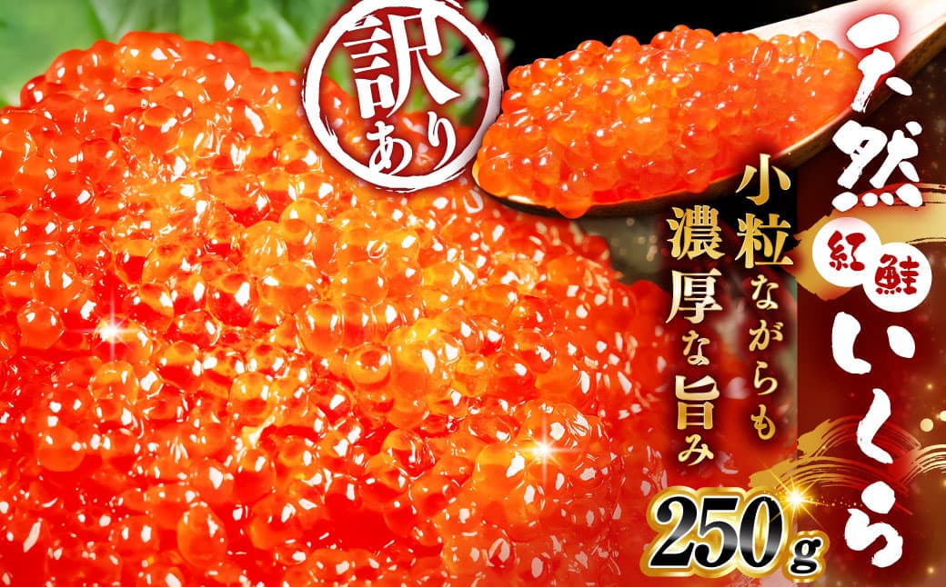 【2026年11月以降順次発送】新物 紅鮭いくら醤油漬け 250g