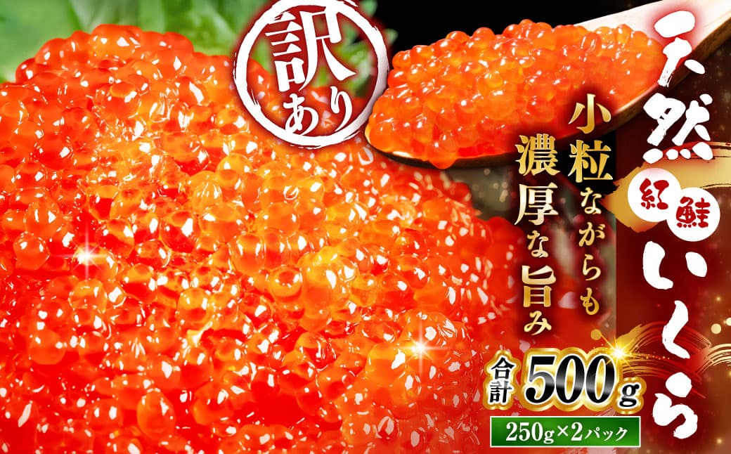 【2026年11月以降順次発送】新物 紅鮭いくら醤油漬け 500g(250g×2)