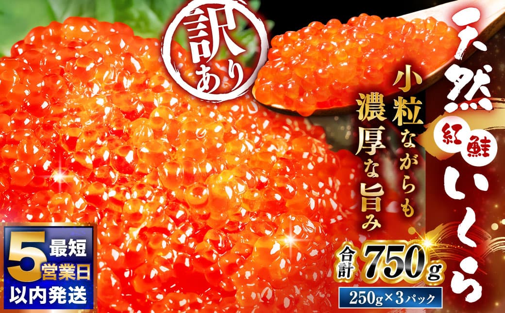 【 5営業日以内発送 】 紅鮭いくら醤油漬け 750g ( 250g × 3 ) いくら イクラ 海鮮 天然紅鮭 魚卵 卵 イクラ丼 いくら丼 手巻き寿司 小粒 魚介類 魚介 寿司 丼 冷凍 旨味