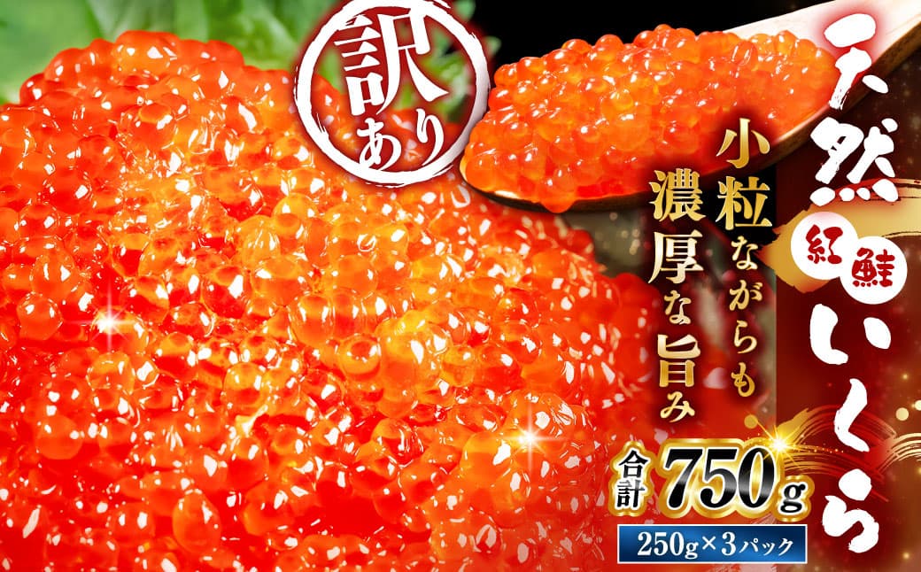 【2026年11月以降順次発送】新物 紅鮭いくら醤油漬け 750g ( 250g × 3 ) いくら イクラ 海鮮 天然紅鮭 魚卵 卵 イクラ丼 いくら丼 手巻き寿司 小粒 魚介類 魚介 寿司 丼 冷凍 旨味