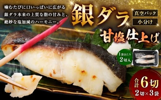 銀ダラ甘塩仕上げ 2切 × 3 ( 約480g ) 合計6切 銀ダラ 銀鱈 鱈 たら タラ 魚 魚類 魚介 魚介類 甘塩 切り身 個包装 真空パック おかず お惣菜 惣菜 おつまみ 酒の肴 冷凍