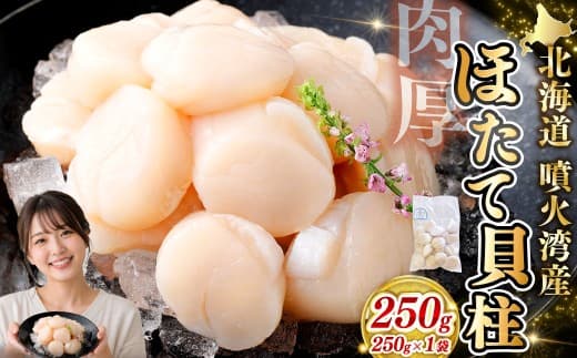 【 14営業日以内発送 】 北海道産 ホタテ 貝柱 250g 魚介類 海鮮 海産物 生食用 肉厚 お刺身 海鮮丼 バター醤油焼き フライ 国産 鮮度抜群 おつまみ おかず 晩酌 酒の肴 冷凍