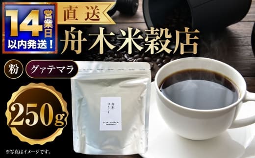 【14営業日以内に発送】 粉 【直送】 舟木米穀店 グァテマラ 250g コーヒー 珈琲 COFFEE coffee コーヒー粉 スペシャルティコーヒー 自家焙煎 焙煎