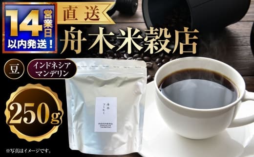 【14営業日以内に発送】 豆 【直送】 舟木米穀店 インドネシア マンデリン 250g コーヒー 珈琲 COFFEE coffee コーヒー豆 スペシャルティコーヒー 自家焙煎 焙煎