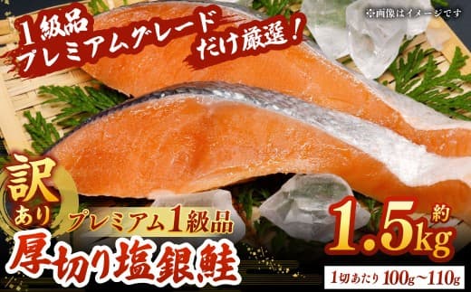 【 訳あり 】 プレミアム1級品 厚切り塩銀鮭 切り身 1.5kg 鮭 銀鮭 塩鮭 しゃけ シャケ さけ サケ 魚 切身 訳アリ 厚切 冷凍 おかず