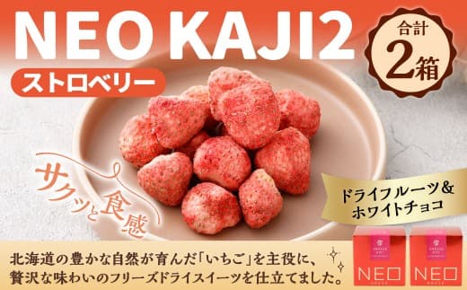 【 14営業日以内に発送 】 NEO KAJI2 【 ストロベリー 】 ドライフルーツ × ホワイトチョコ 2箱 いちご イチゴ 苺 果物 くだもの フルーツ スイーツ おかし お菓子 菓子 果実 フリーズドライ チョコ チョコレート ホワイトチョコレート フリーズドライスイーツ